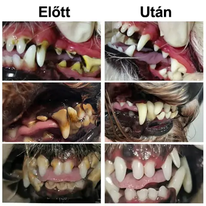 ✨🐶🐱[ Hivatalos Áruház] Healrize® Állati Fogászati és Emésztési Egészséget Támogató Orális Folyadék – Friss lehelet, fogkő eltávolítása és ínyregeneráció támogatása, a fogak stabilizálása (macskáknak és kutyáknak) – Ma 70% kedvezmény!